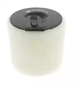 champion-caf100458c