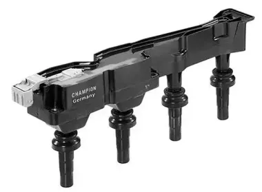 champion-baea045e
