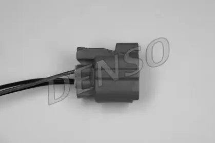 nps-dox2031