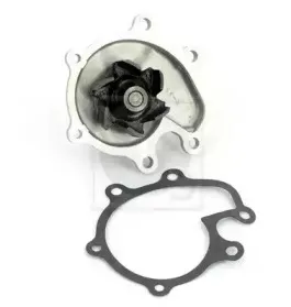 nps-n151n10