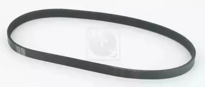 nps-t111a10