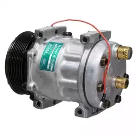 fispa-11310