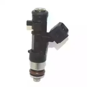 fispa-81305