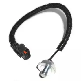 fispa-83546