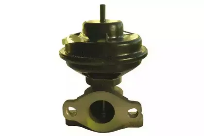 fispa-83786
