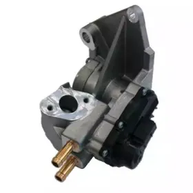 fispa-83819