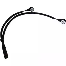 fispa-84048