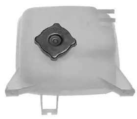 vema-16397