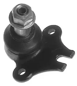 vema-16892