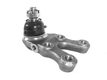vema-22491