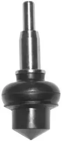 vema-22570