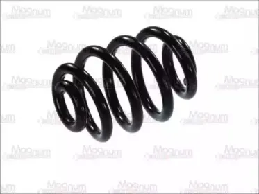 SW079MT Magnum Technology