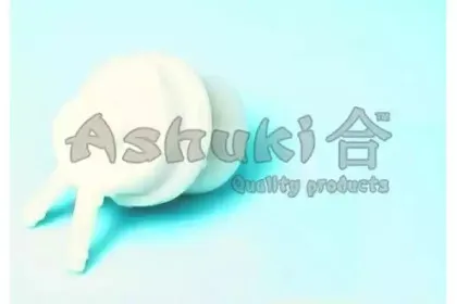 ashuki-03990007