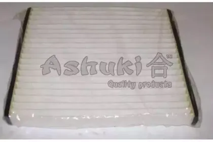 ashuki-04023202
