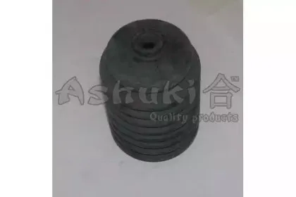 ashuki-08522002