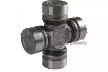ashuki-08760001