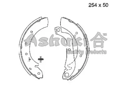 ashuki-10502501