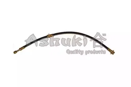 ashuki-11100301