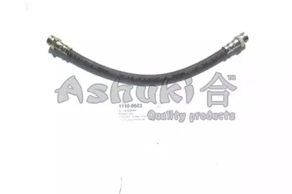 ashuki-11100503