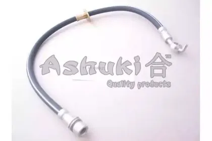 ashuki-11100802