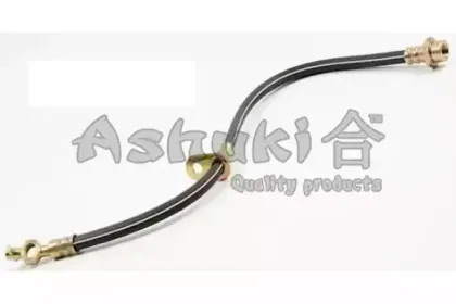 ashuki-11101012