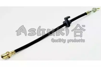 ashuki-11101190