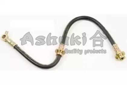 ashuki-11101601