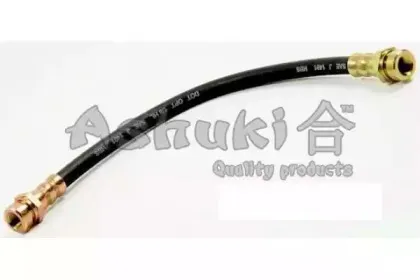 ashuki-11103001