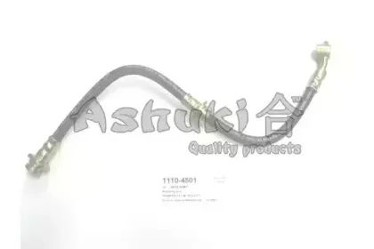 ashuki-11104501