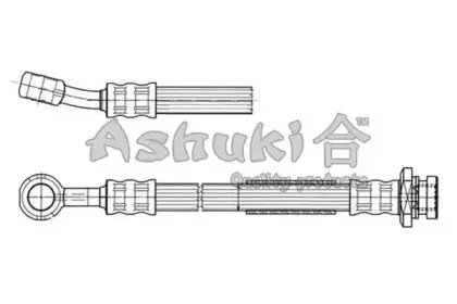 ashuki-11107308