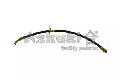 ashuki-11108012