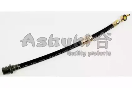 ashuki-11109090