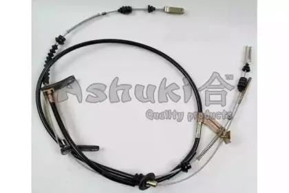 ashuki-11730003