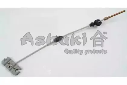 ashuki-11731103
