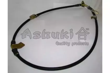 ashuki-11760303