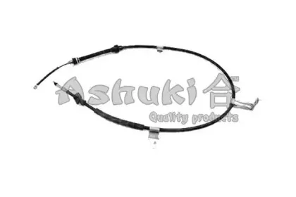 ashuki-11760404