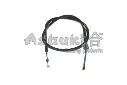 ashuki-11762002