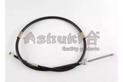 ashuki-11763002