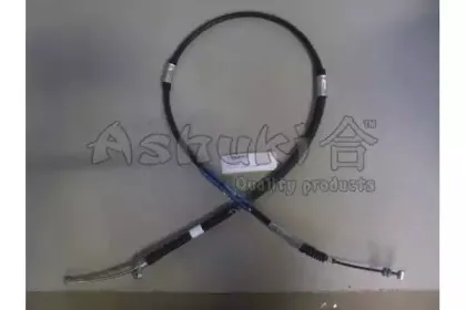 ashuki-11764002