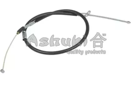 ashuki-11764202