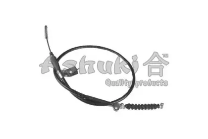 ashuki-11764601