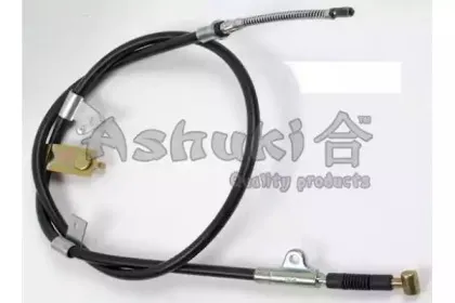 ashuki-11765301