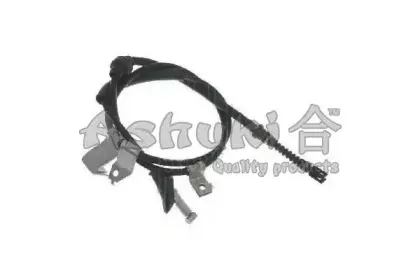 ashuki-11765504