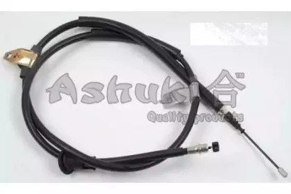 ashuki-11767050