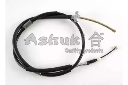 ashuki-11767202