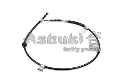 ashuki-11767404
