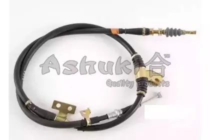 ashuki-11768203