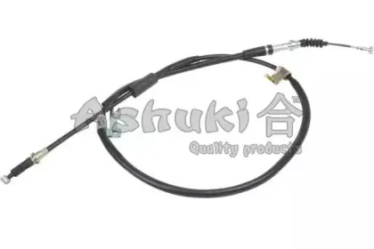ashuki-11768603