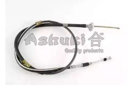 ashuki-11769002