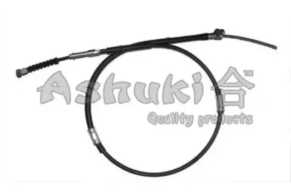 ashuki-11769402